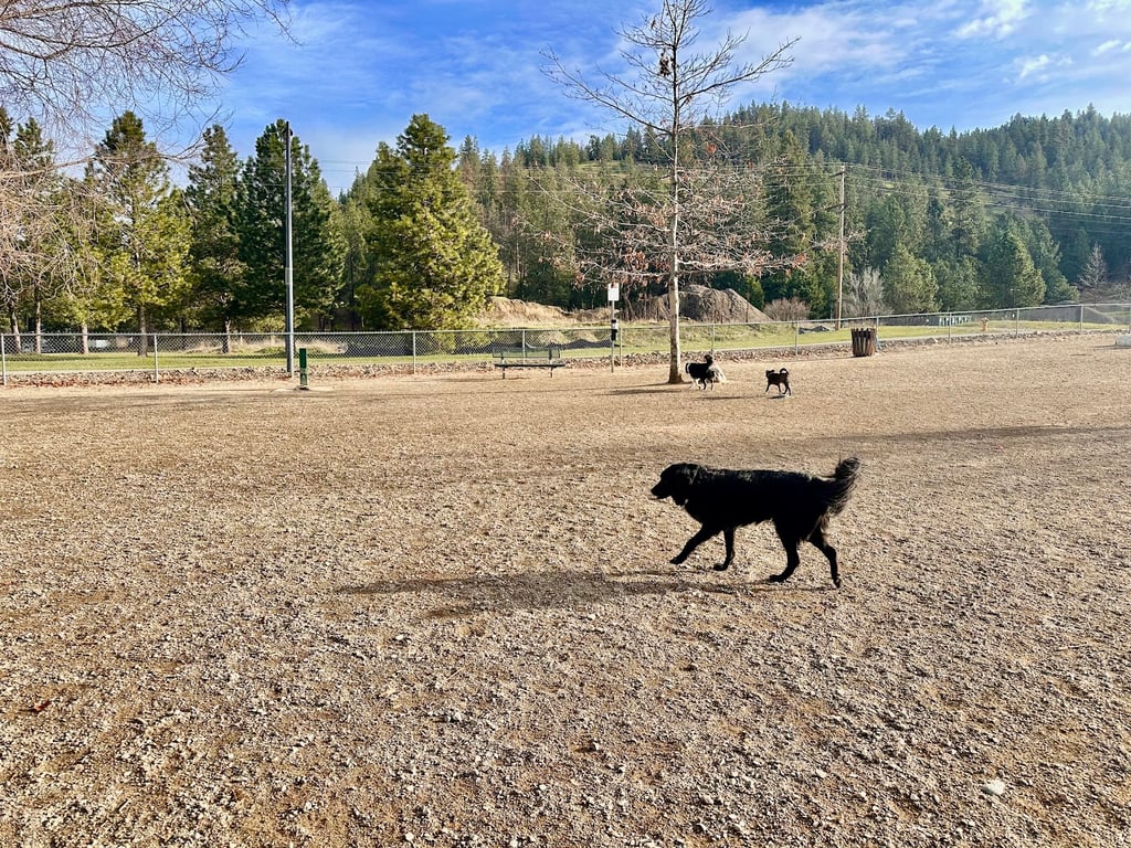 Cherry Hill Dog Park