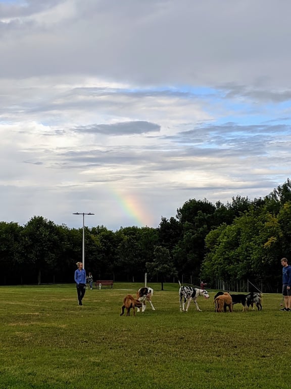 Ames Dog Park (Fee Required)