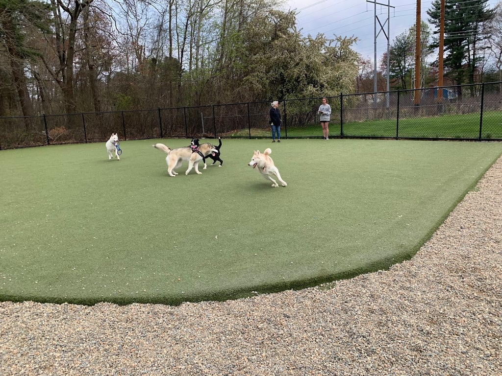 Burlington Dog Park at Rahanis Park
