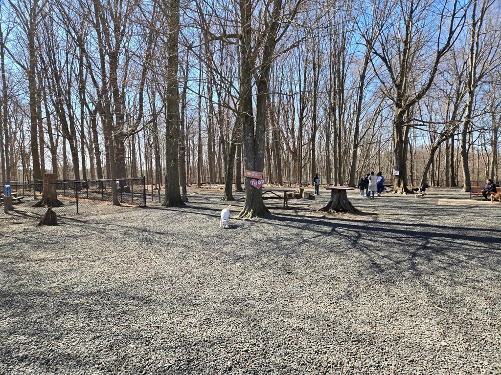 Hamden Dog Park