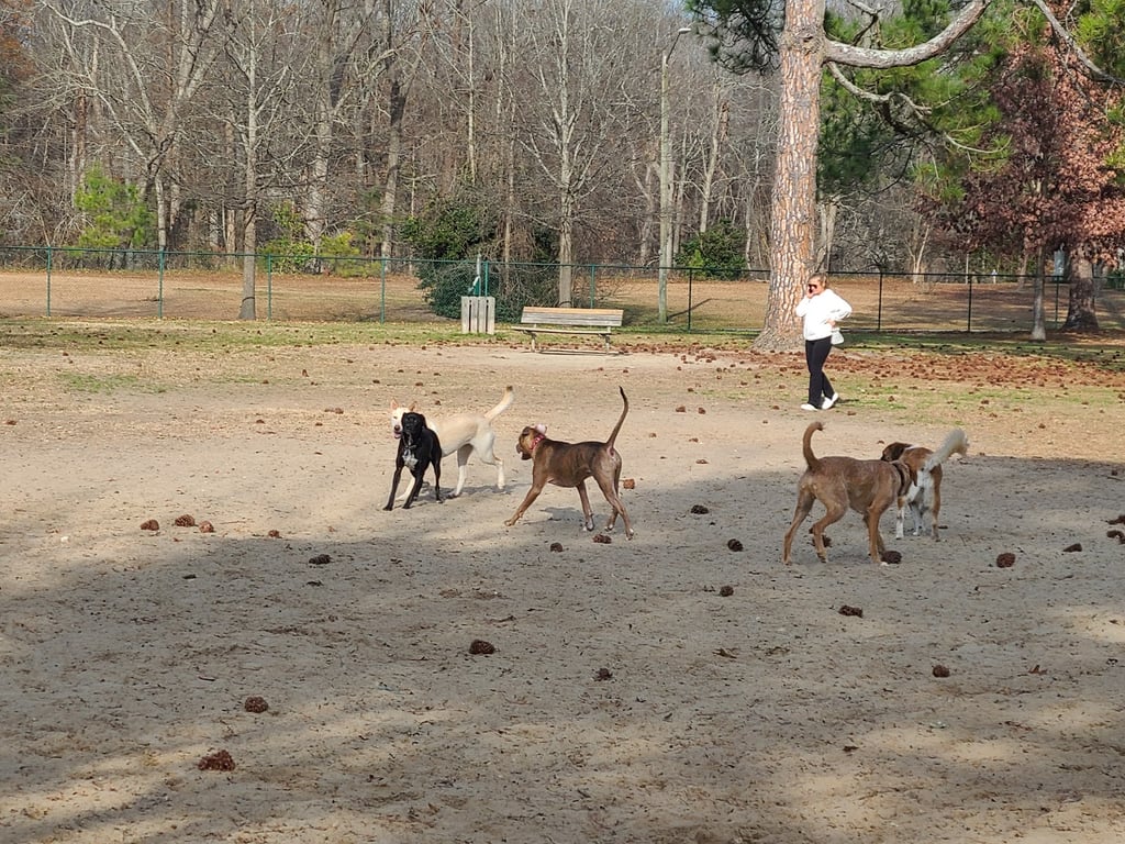 Greenville Offleash Dog Park