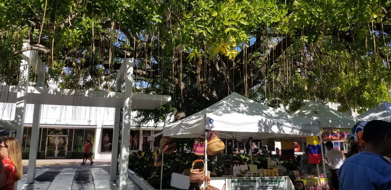 The Antique Collectible Market