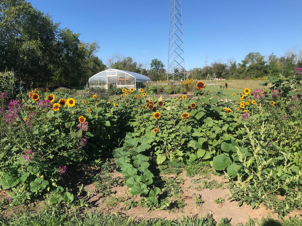 Eco Justice Center