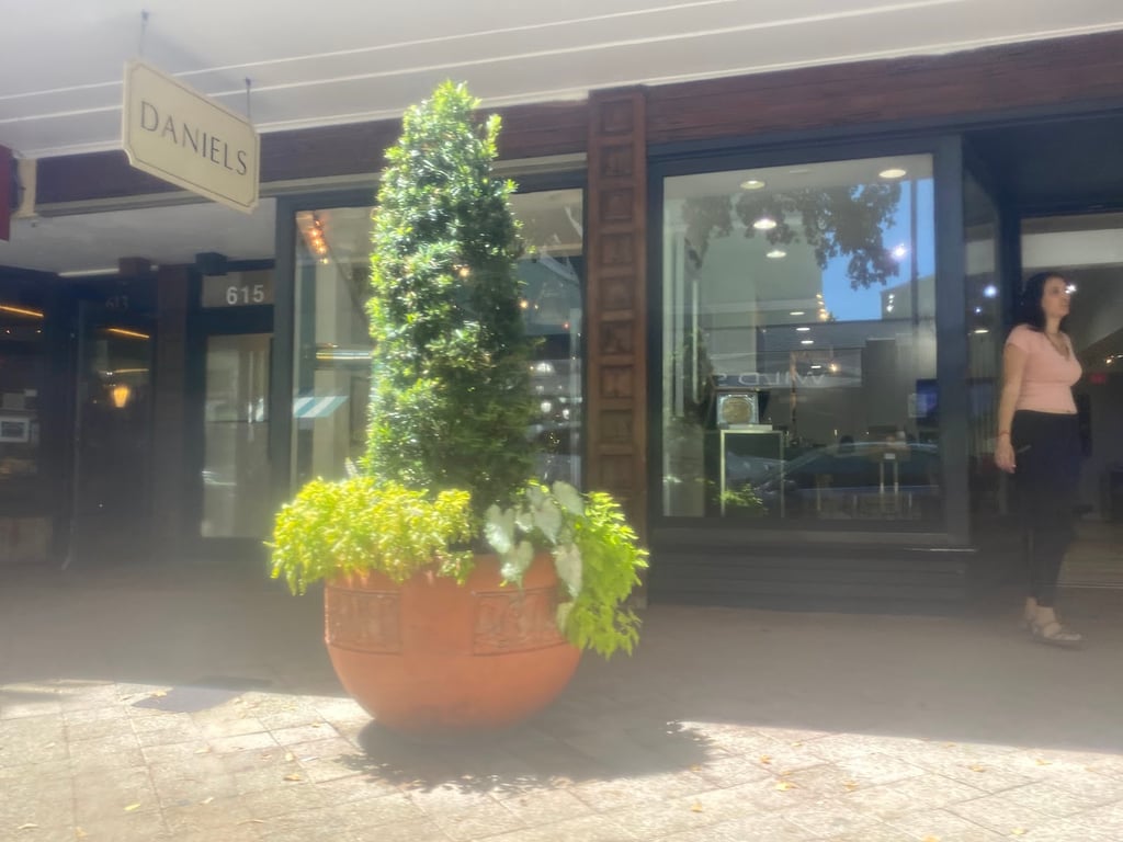 Daniels Antiques