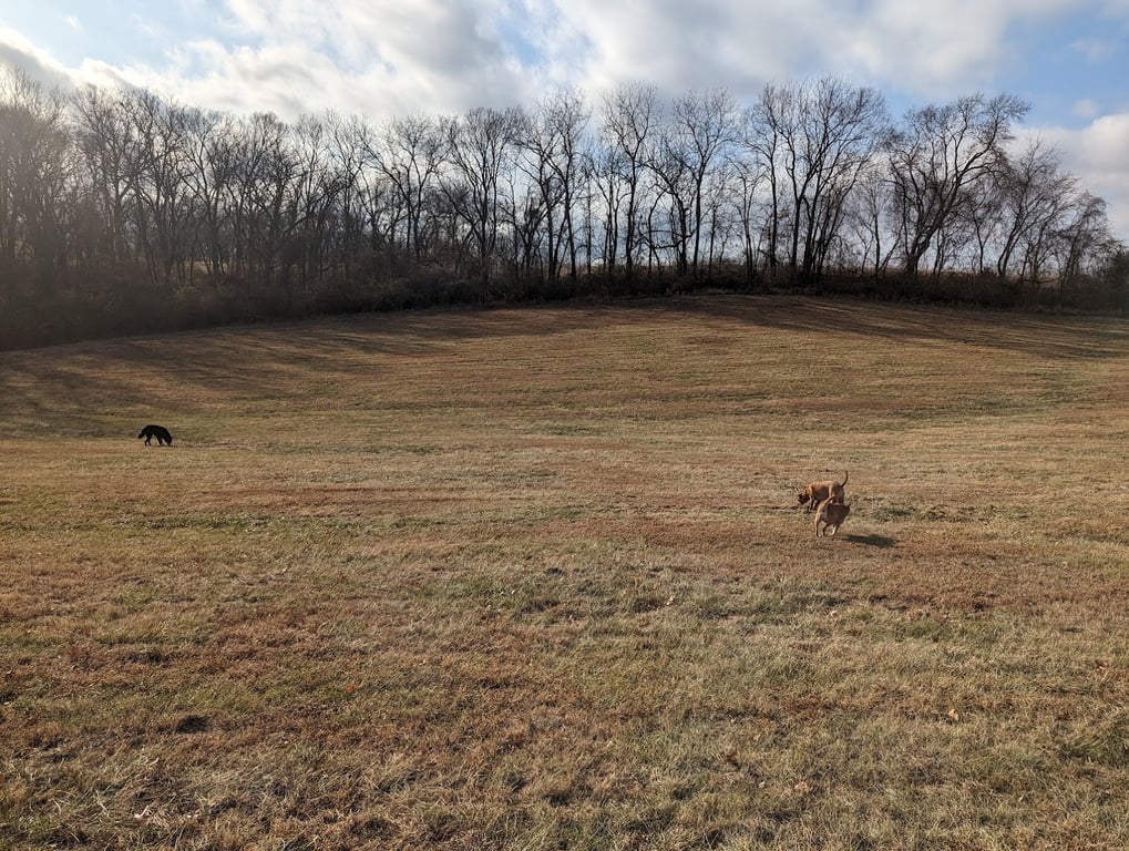 Leash Free Dog Run