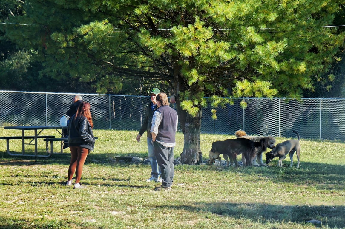 W. Leroy Lewis Dog Park