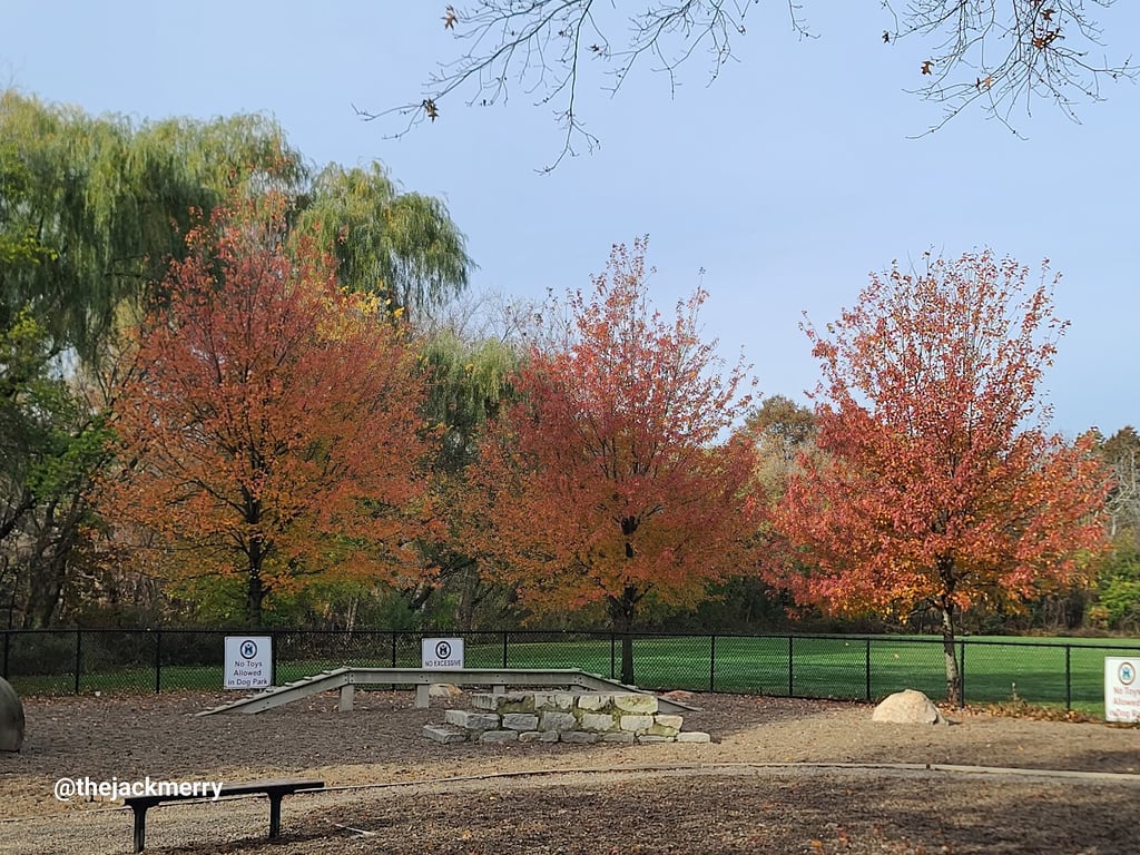 Thorndike Dog Park