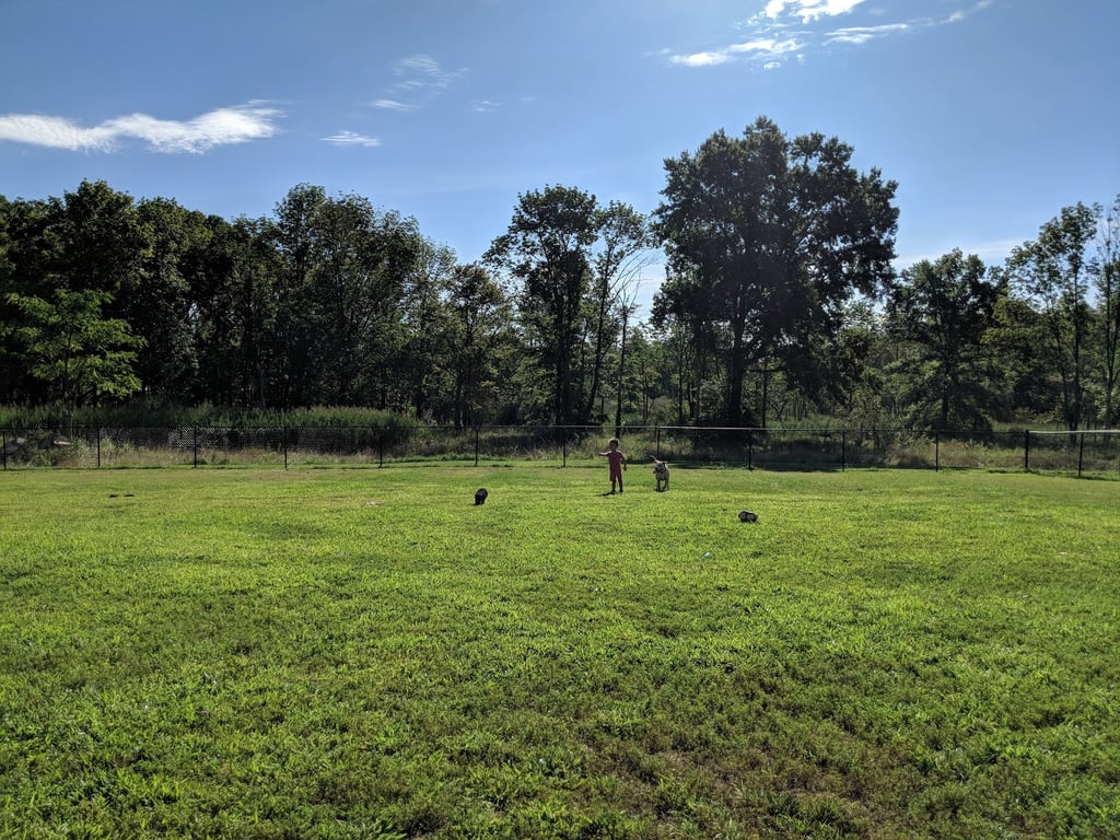 Cameron Dog Park