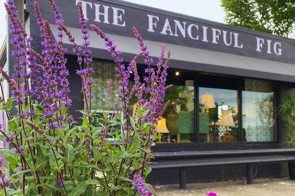 The Fanciful Fig