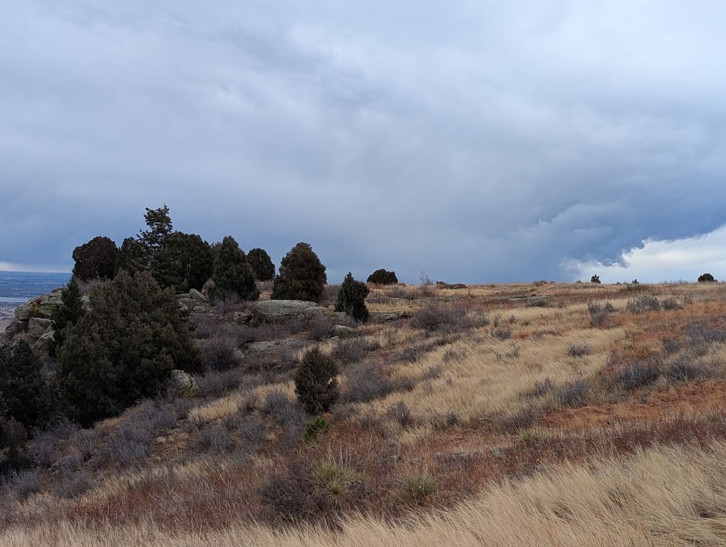 Parks, Forestry and Open Space