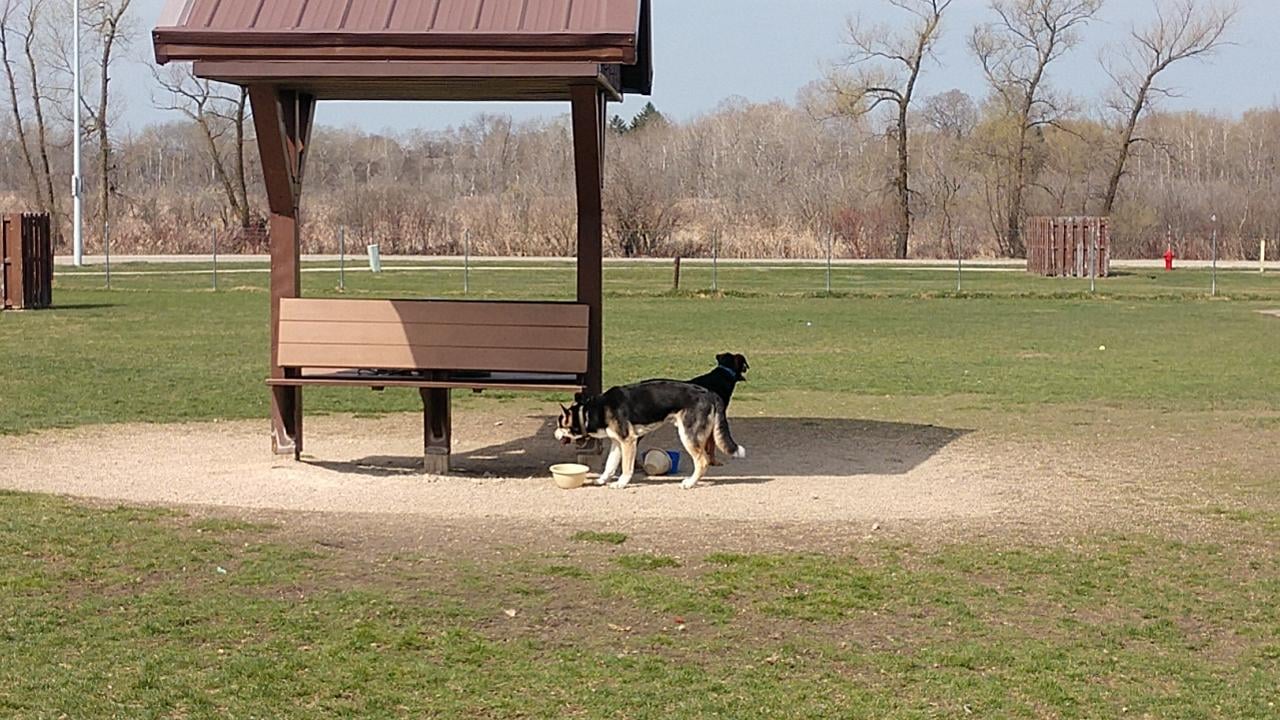 Off-Leash Dog Area