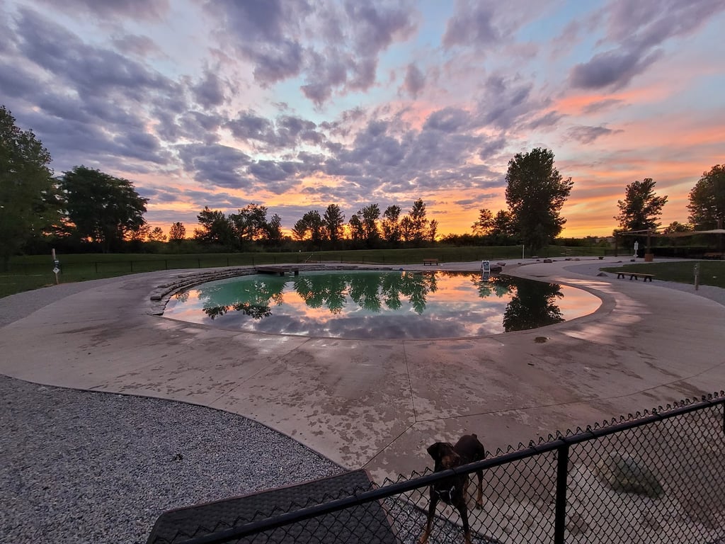 Furfield Dog Park