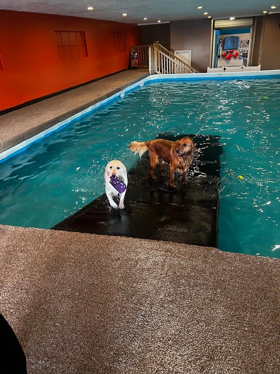 Barley’s Canine Recreation Center