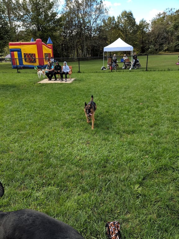 Columbia DogPark