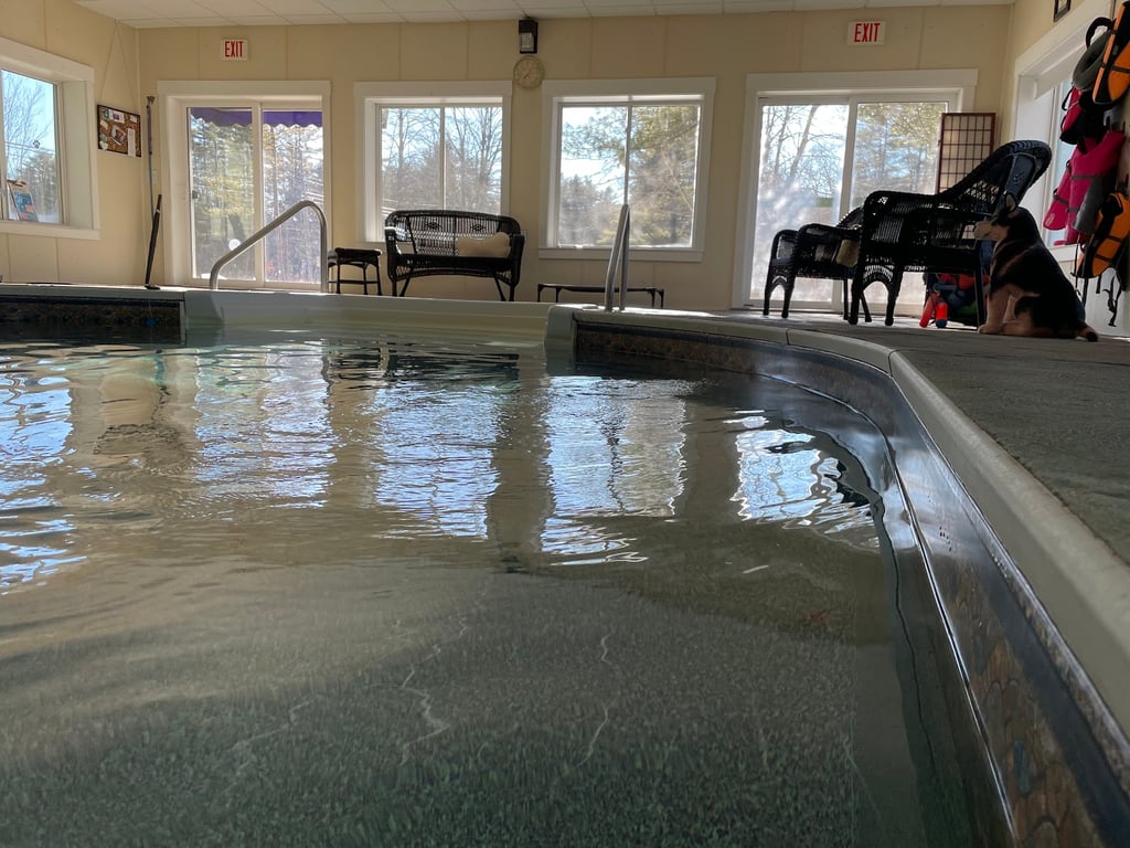 Doggie Dome Swim Spa