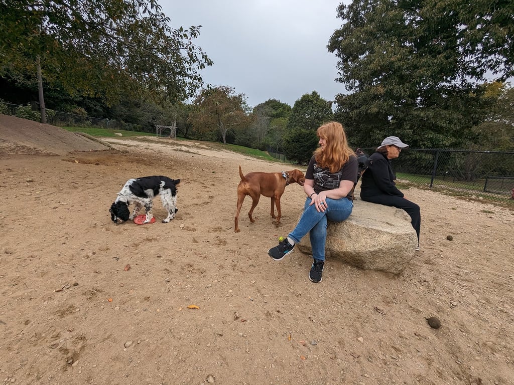 Gloucester Dog Park