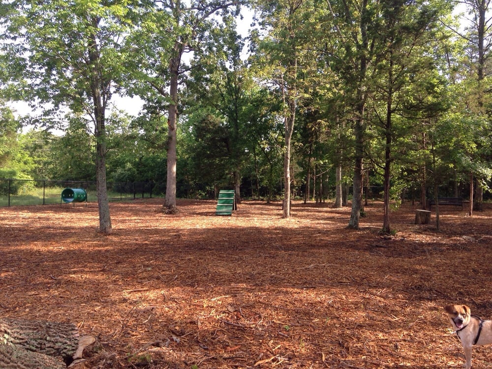 South Riding Dog Park