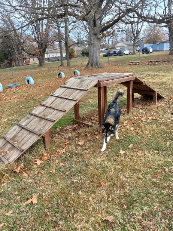 Ward Dog Park