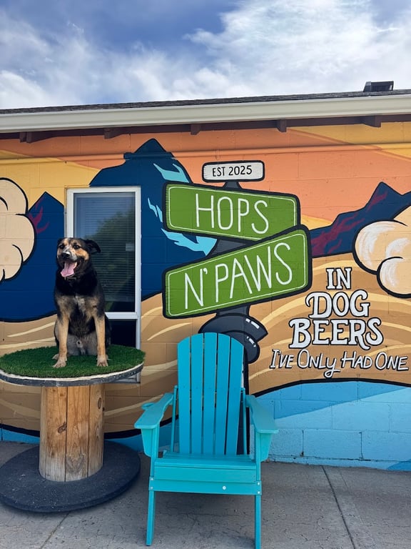 Hops N’ Paws Dog Park & Taphouse – Boarding/Daycare