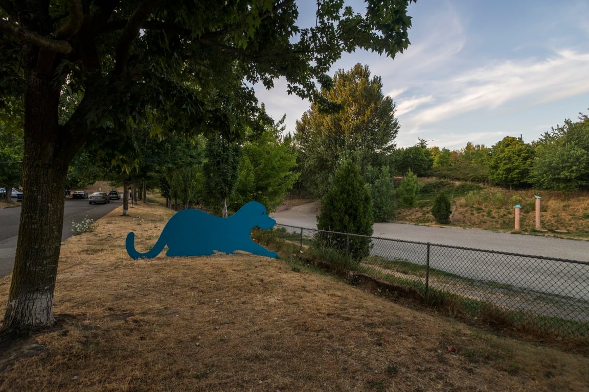 Blue Dog Pond