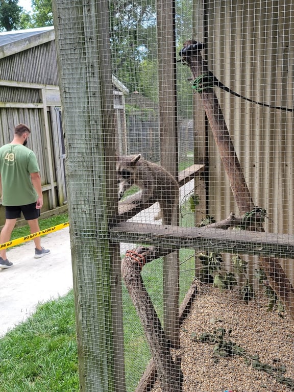 Oaken Acres Wildlife Center