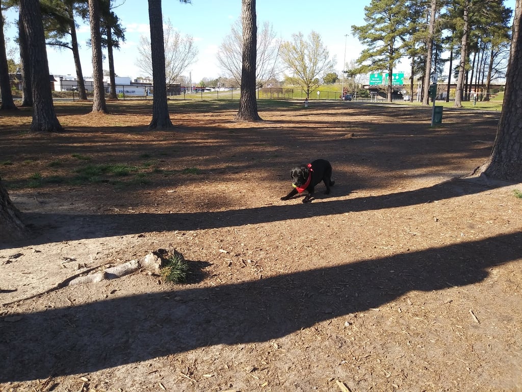 Benson Dog Park