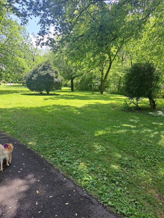 PetSafe Pistol Creek Dog Park