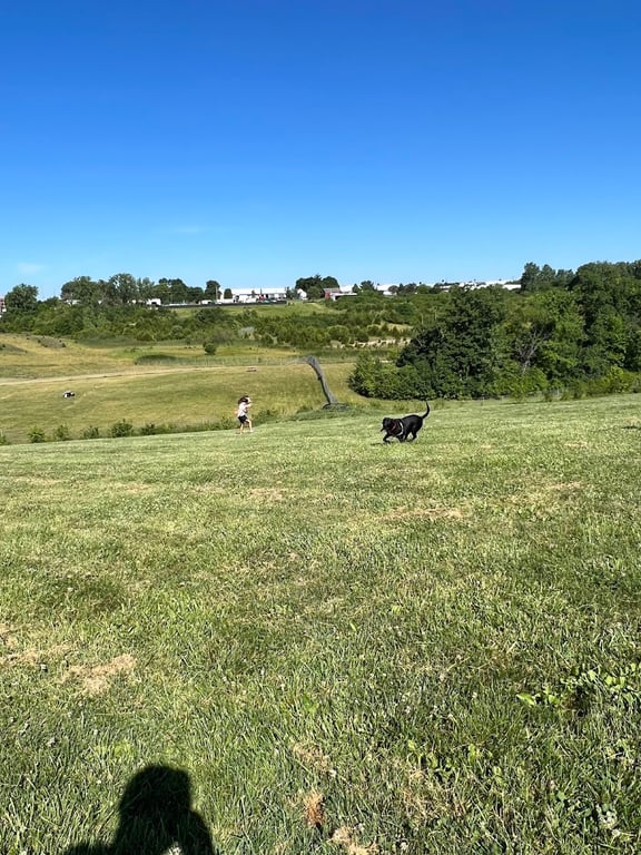 Bark Park Offleash