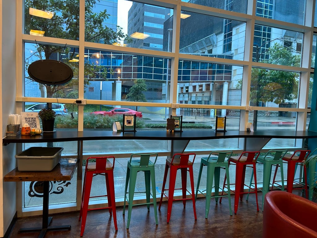 Not Your Average Joe