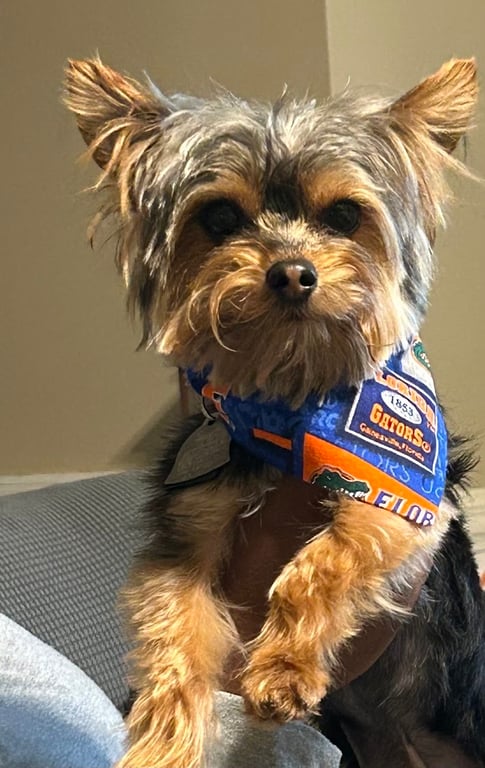 OneWorld Pet Resort