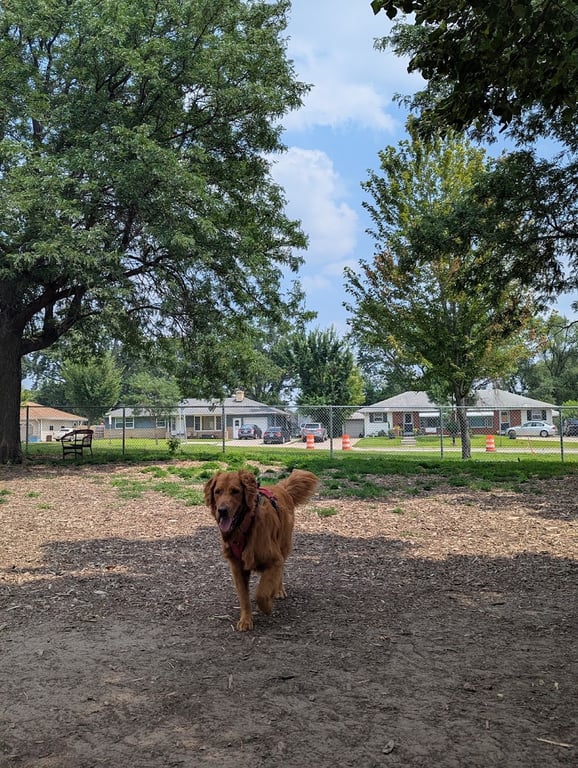 Off-Leash Dog Area