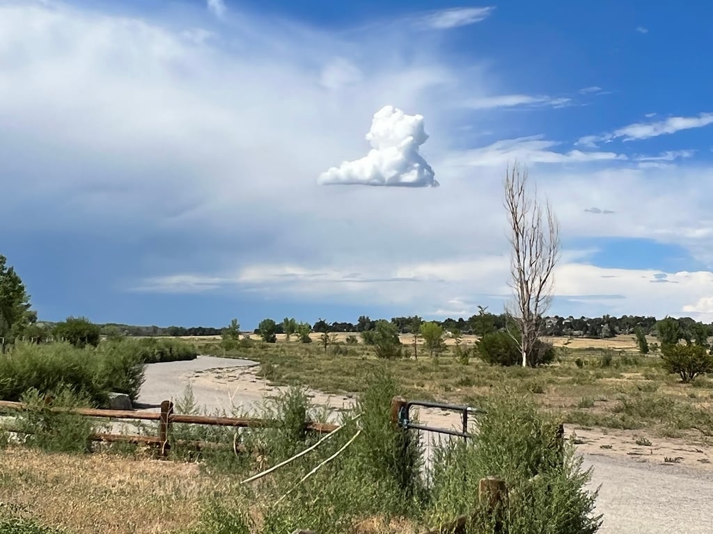Cherry Creek ​Dog Of​f Leash Area (DOLA)