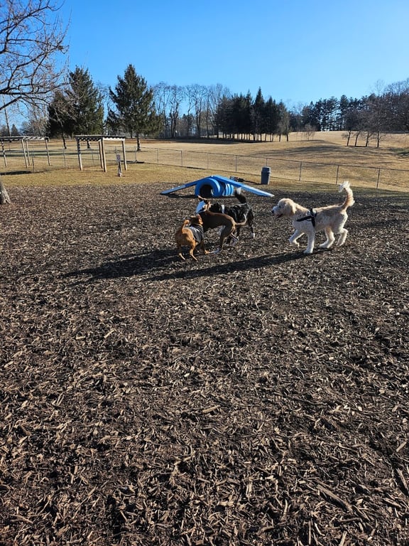 Doggie Dugout-Registration Required