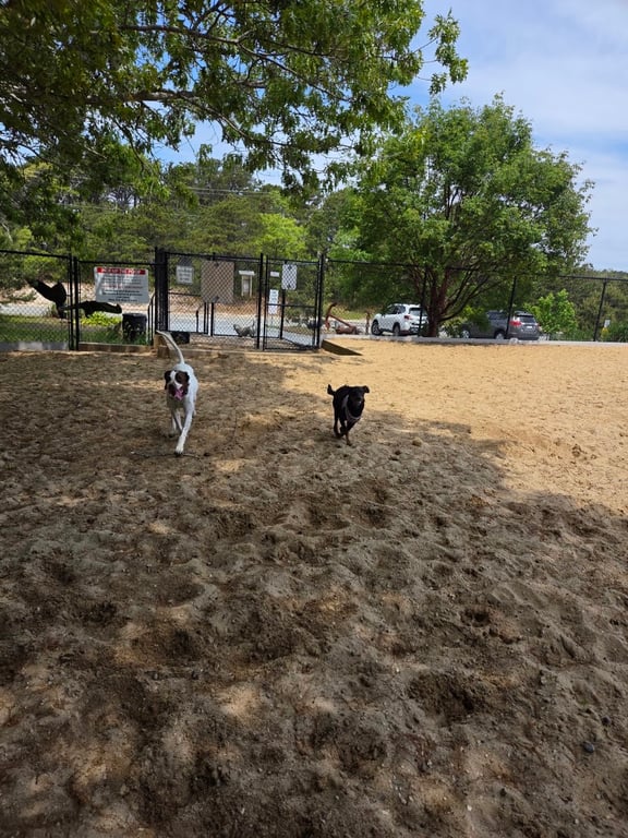 Pilgrim Bark Park