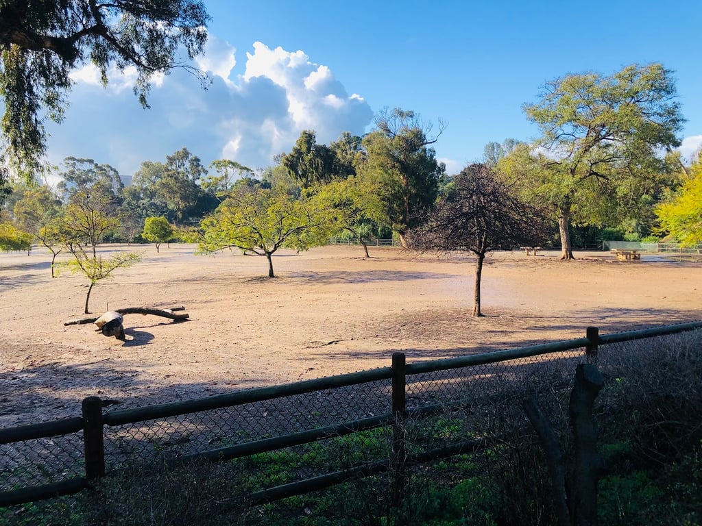 Nate’s Point Dog Park
