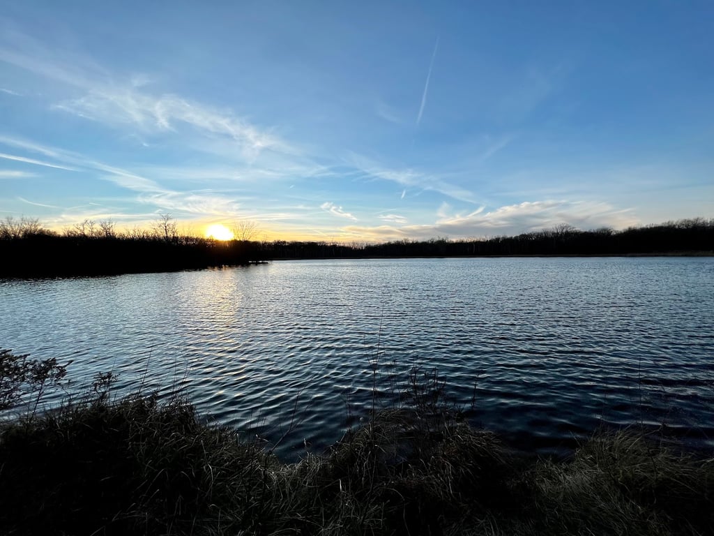 Beck Lake Dog Park