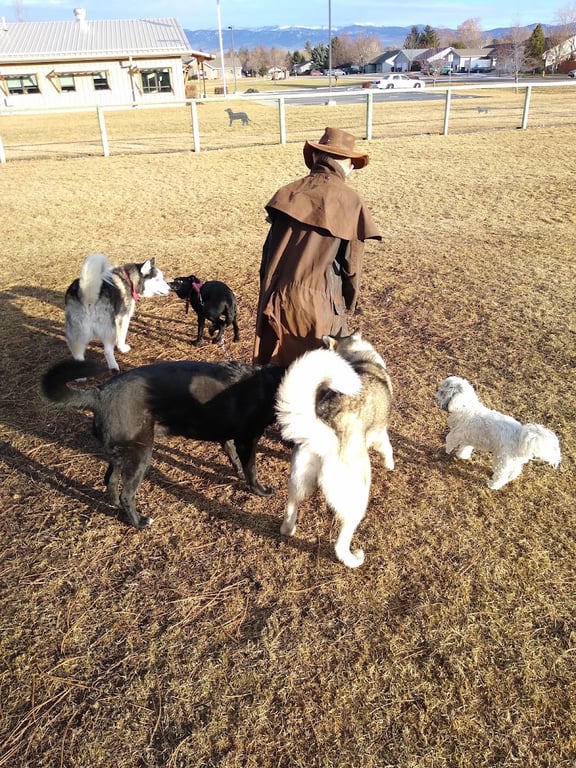 Hamilton Dog Park