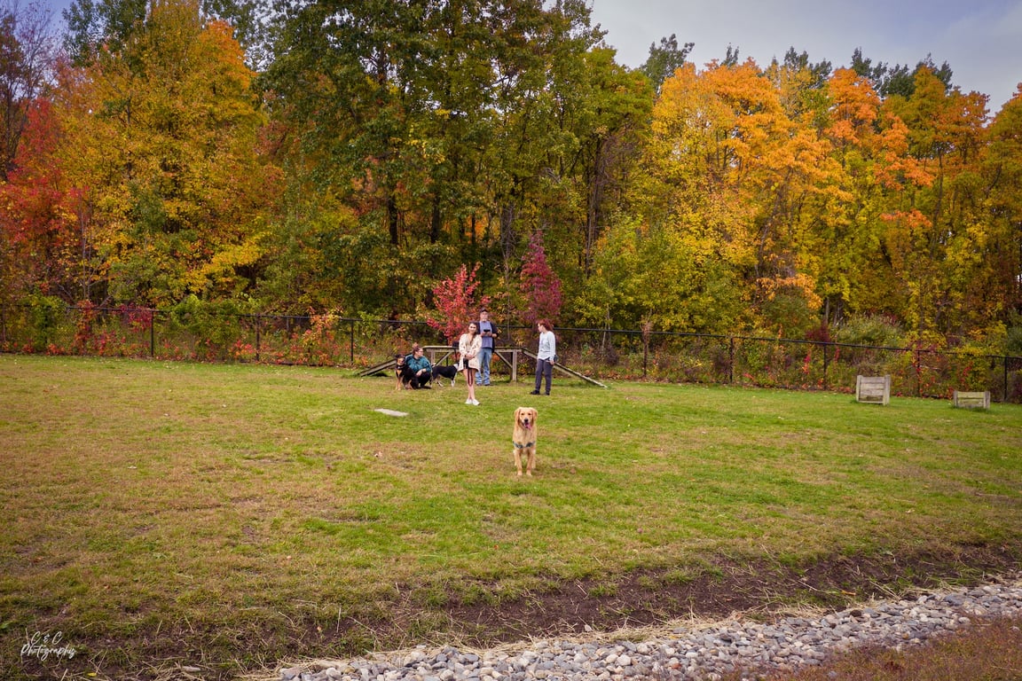 Butler Farm Dog Park