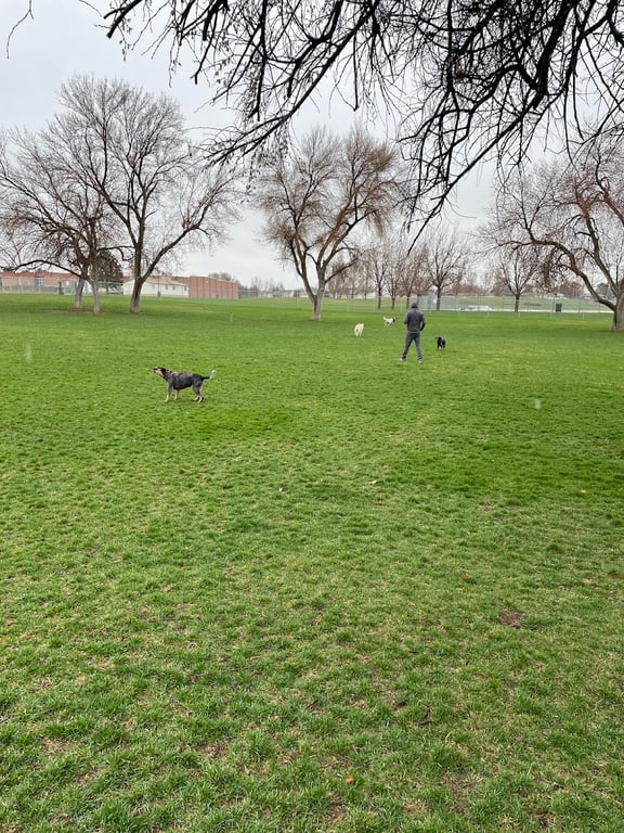 Spanish Fork Dog Park