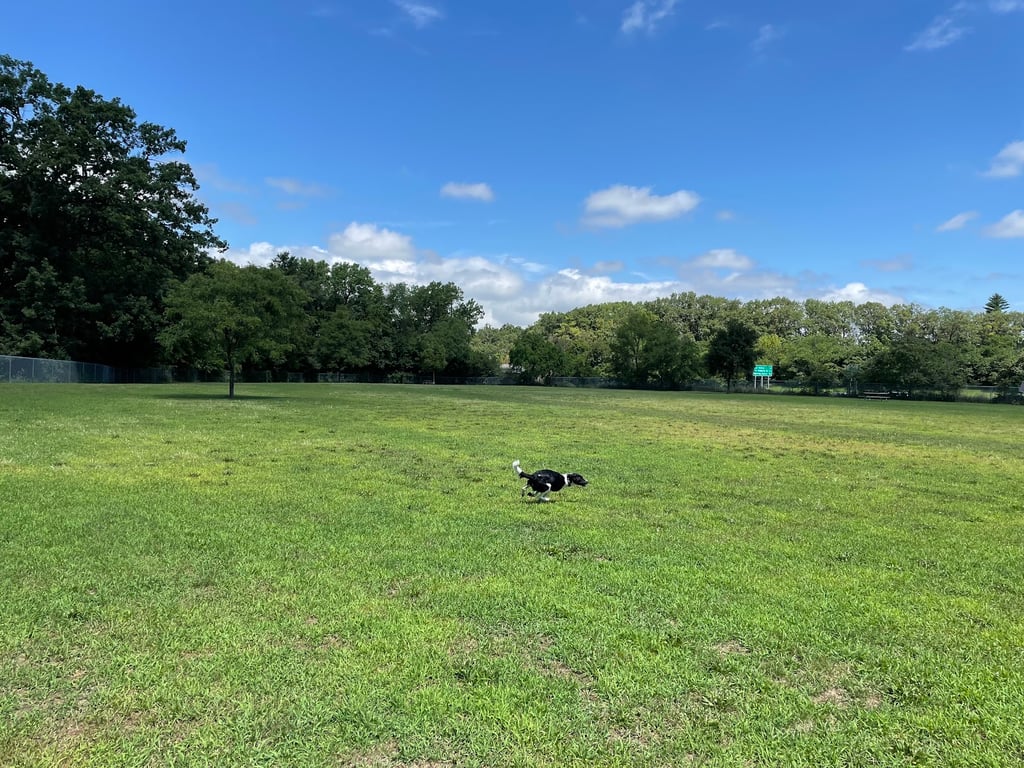 Dog Park Bradley Park