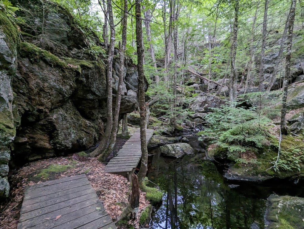 Pulpit Rock Conservation Area