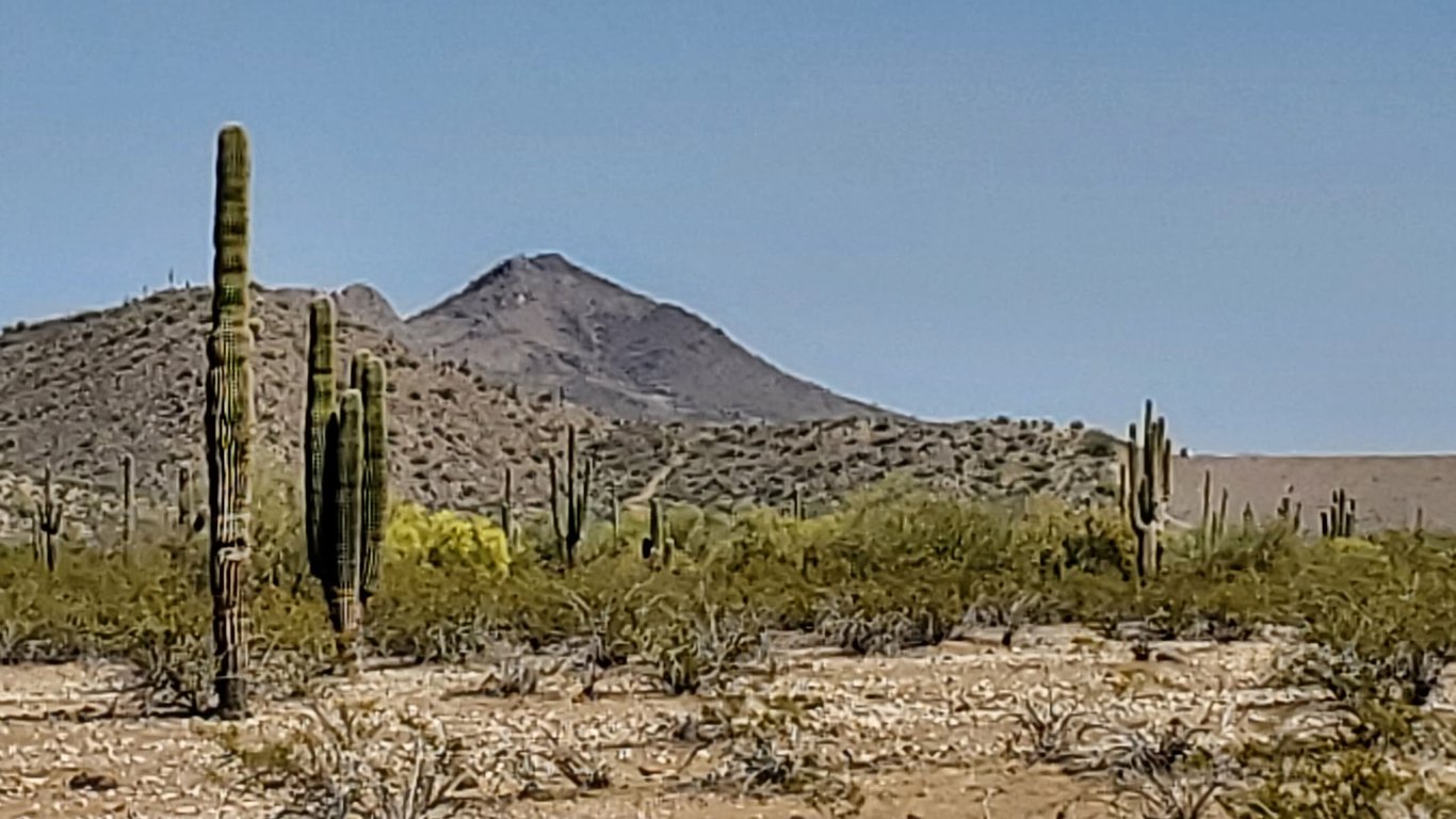 Paloma Dog Park