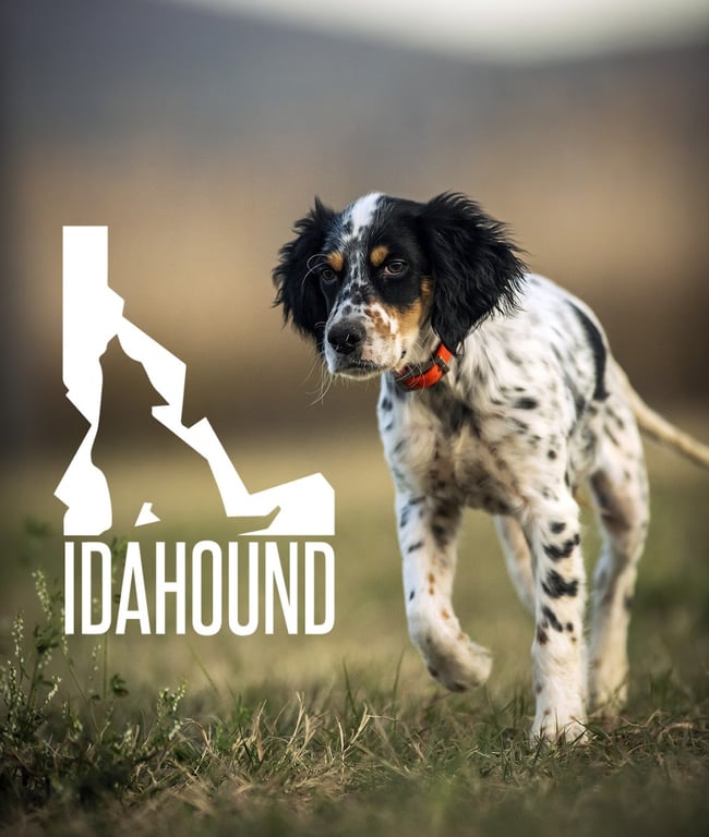 Idahound