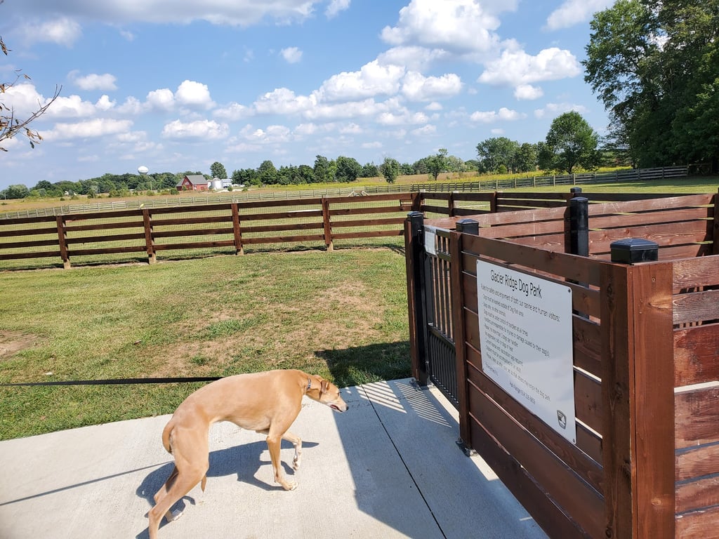 Glacier Ridge Dog Park