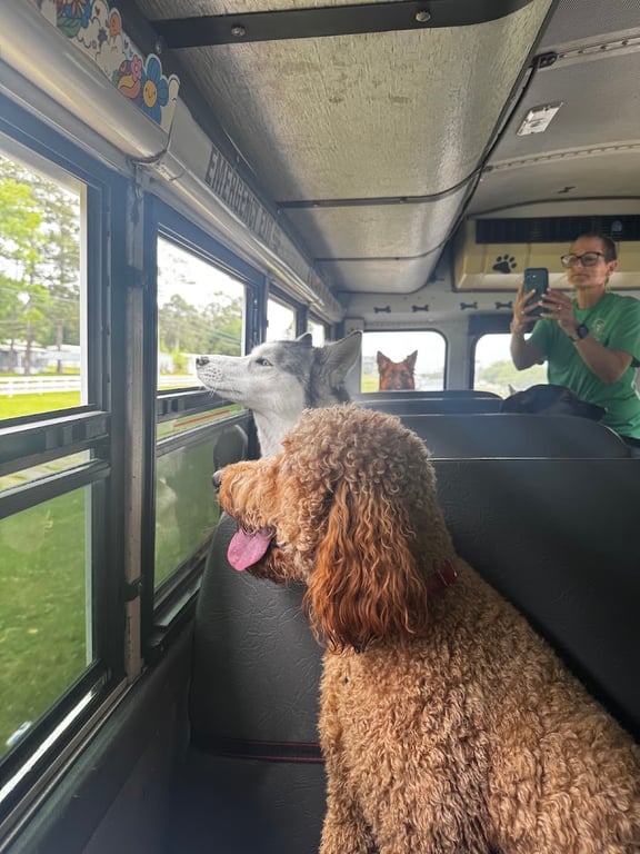 Wags and Whiskers of the Wiregrass-Enterprise