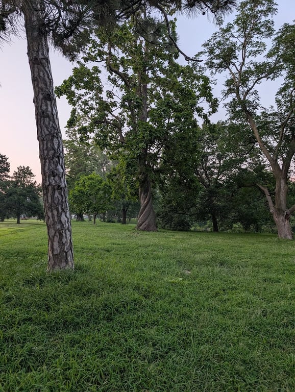 Hanscom Dog Park