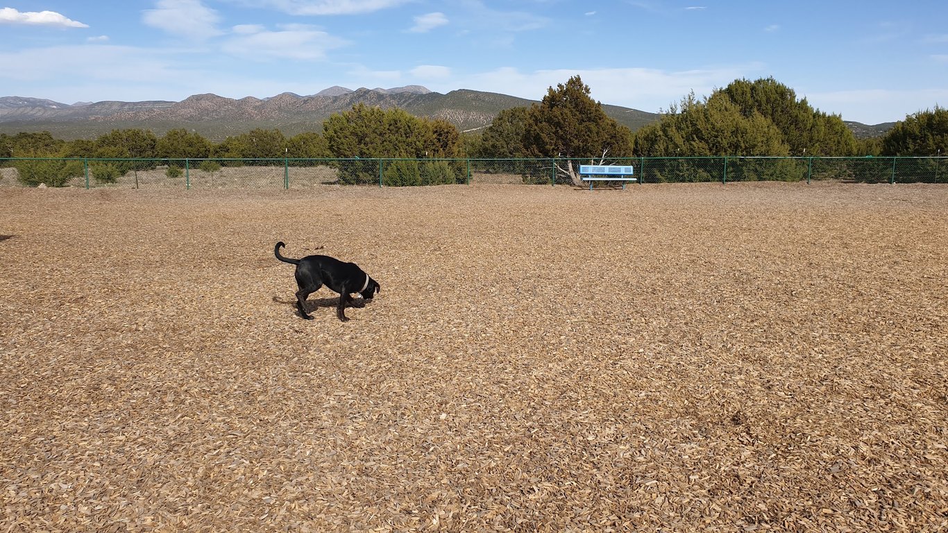 Dog Park