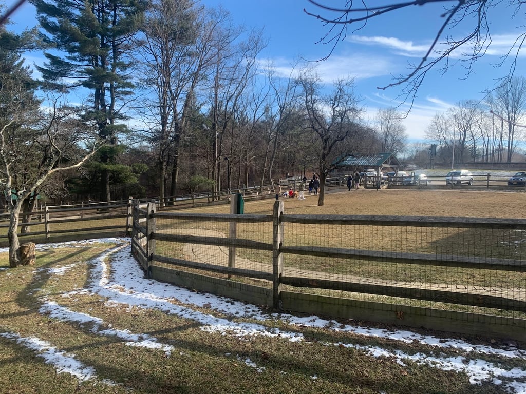 Bark Park Dog Park