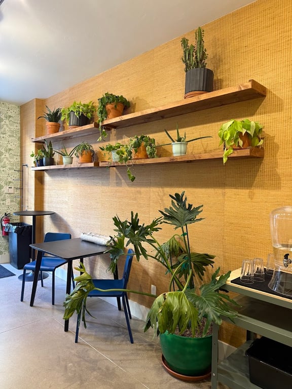 Photo of Bliss Beverage Lab