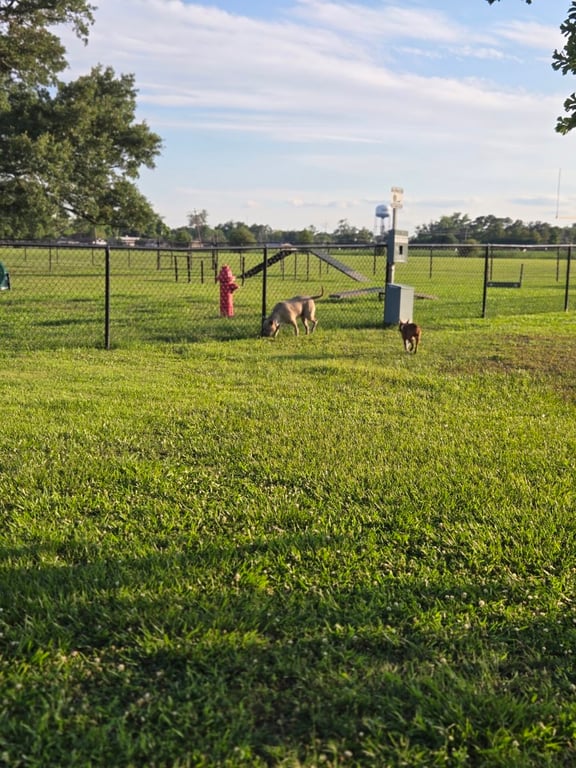 West Baton Rouge Dog Park